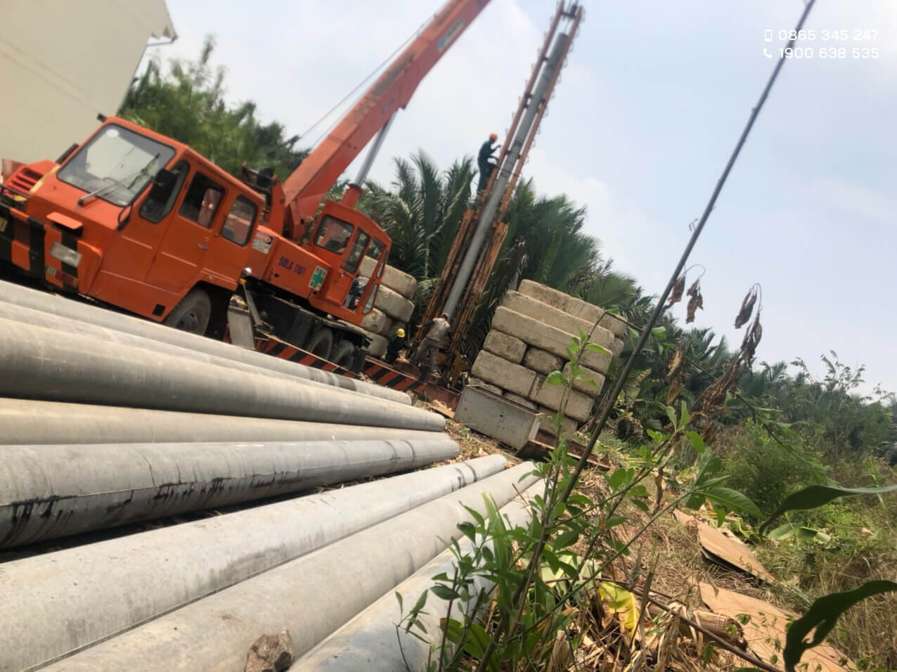 Biệt thự KDC Văn Lang, Bình Hưng
