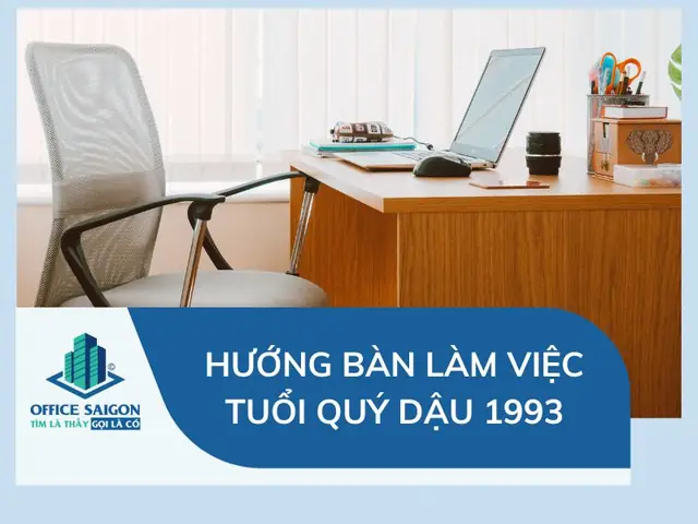1993 Hợp Hướng Làm Việc Nào
