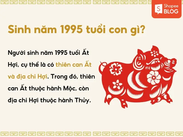 1995 Mệnh Gì Cung Gì