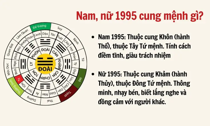 1995 Mệnh Gì Cung Gì