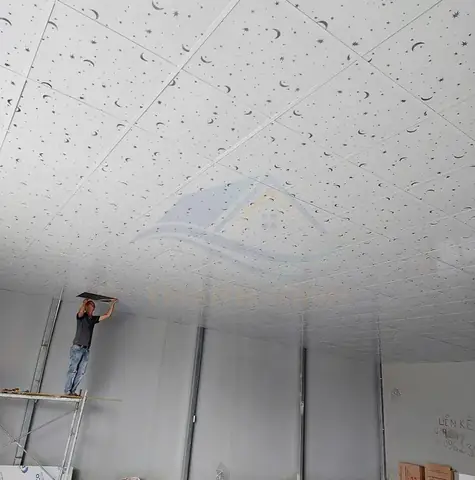Báo Giá Trần Nhựa 600x600