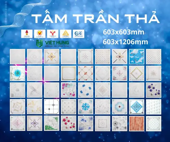 Báo Giá Trần Nhựa 600x600