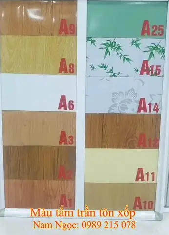 Các Mẫu Tôn Trần Nhà