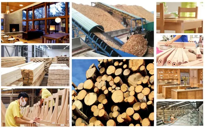 Các Sản Phẩm Từ Gỗ