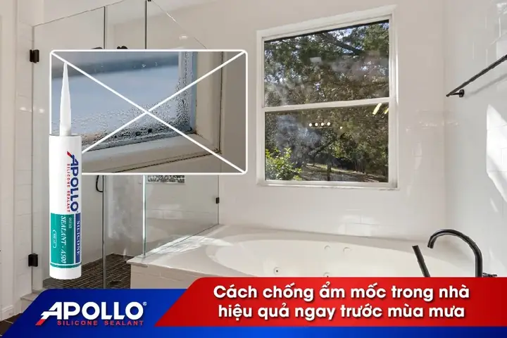 Cách Chống Ẩm Mốc Trong Nhà