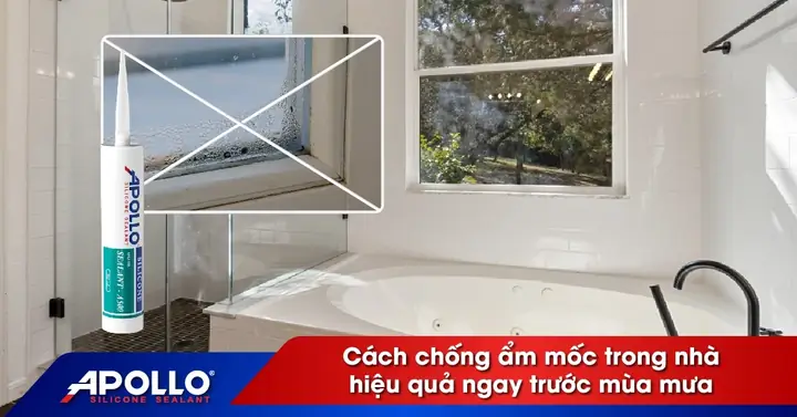 Cách Chống Ẩm Mốc Trong Nhà