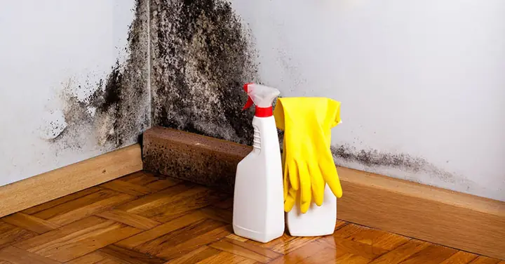 Cách Chống Ẩm Mốc Trong Phòng Ngủ