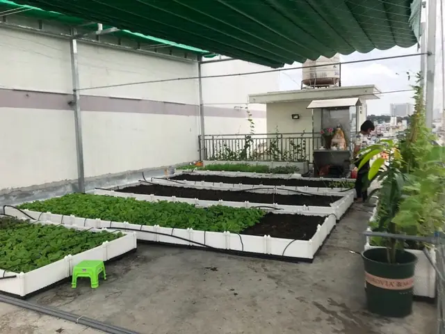 Cách Trồng Cây Trên Mái Tôn