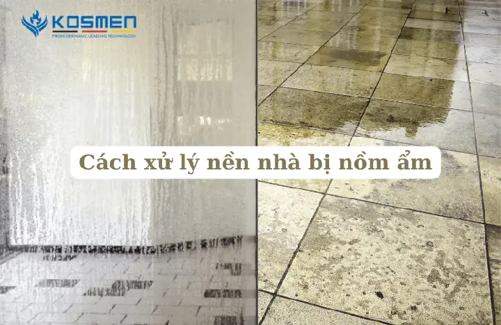 Cách Xử Lý Nền Nhà Bị Nồm