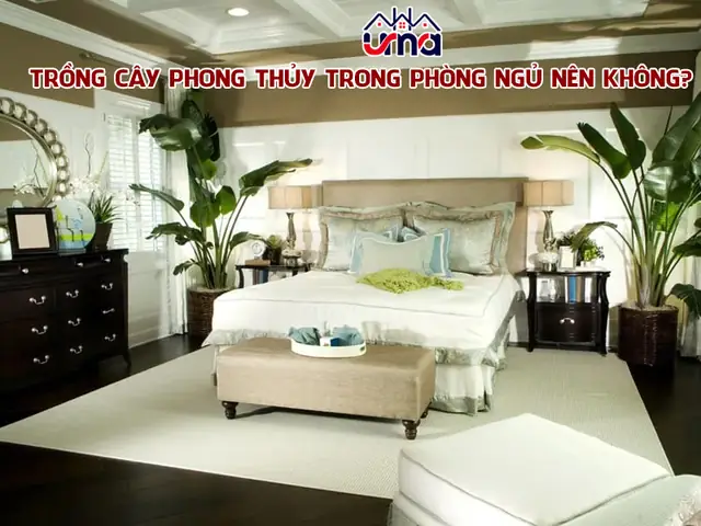 Cây Phong Thủy Trong Phòng Ngủ