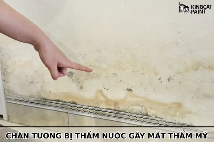 Chân Tường Bị Thấm Nước