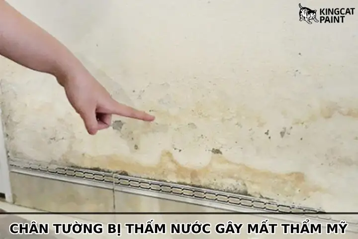 Chân Tường Bị Thấm Nước