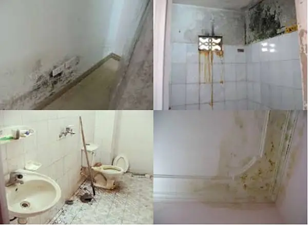 Chân Tường Bị Thấm Nước