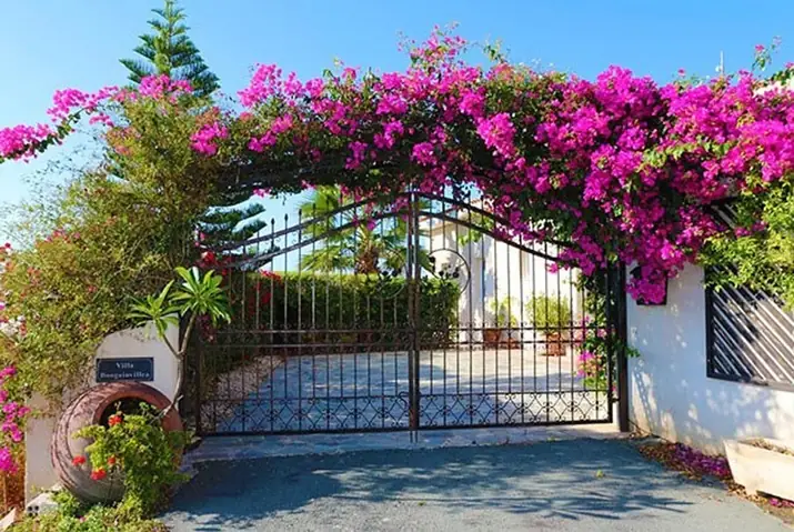 Cổng Nhà Đẹp Nông Thôn