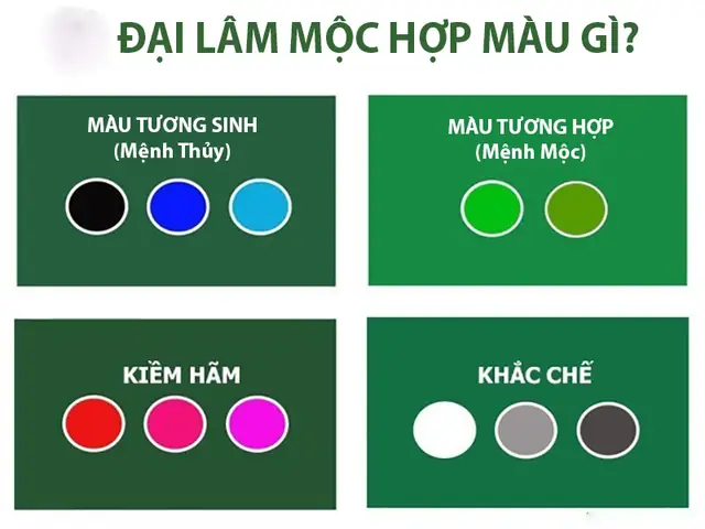 Đại Lâm Mộc Hợp Hướng Nào