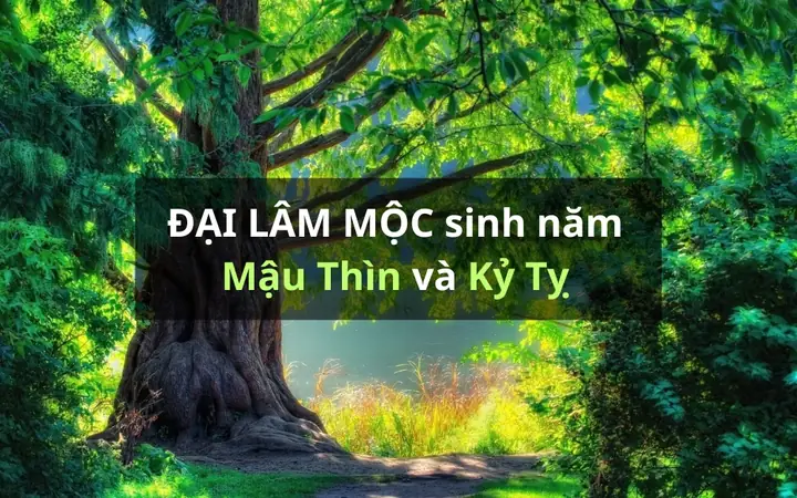 Đại Lâm Mộc Hợp Hướng Nào