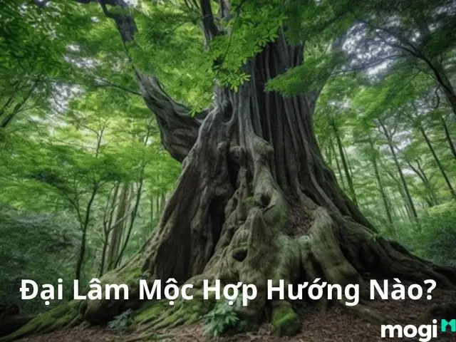 Đại Lâm Mộc Hợp Hướng Nào