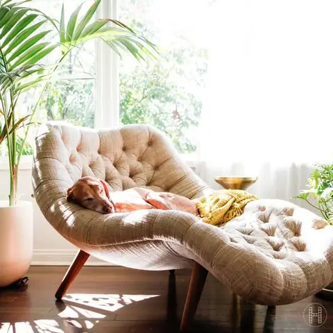 Ghe Sofa Nam Thu Gian