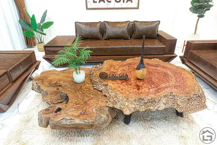 Giá Bán Gốc Cây Xá Xị