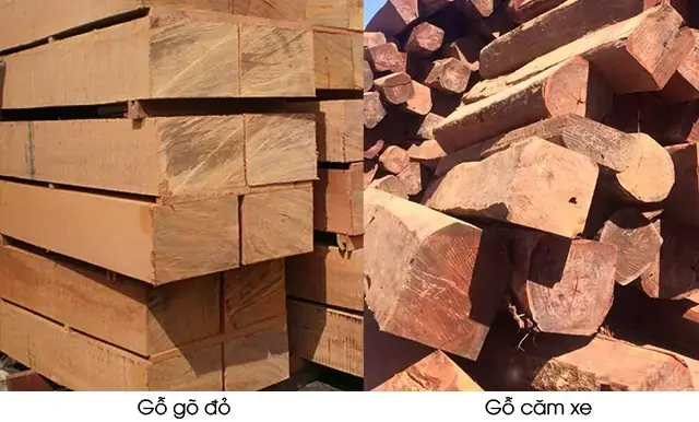 Giá Gỗ Căm Xe Và Gỗ Đỏ