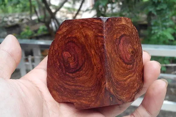 Giá Gỗ Tử Đàn Đỏ