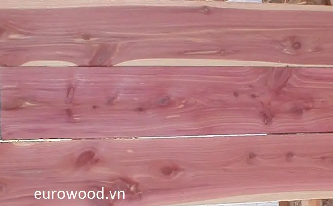 Giá Gỗ Tuyết Tùng Đỏ