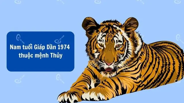 Giáp Dần 1974 Hợp Màu Gì