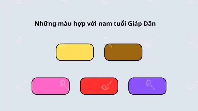 Giáp Dần 1974 Hợp Màu Gì