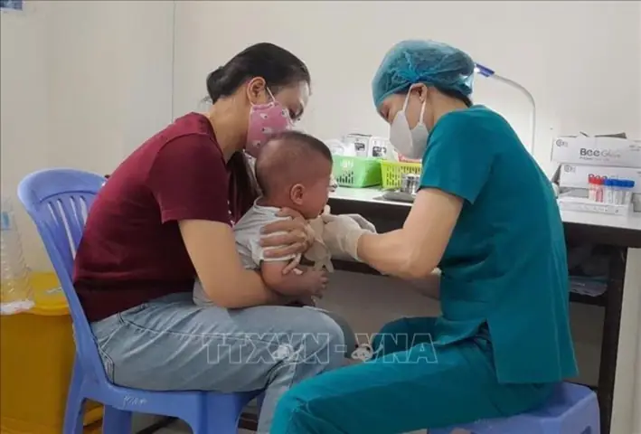 Giường Trẻ Em Tại Đà Nẵng