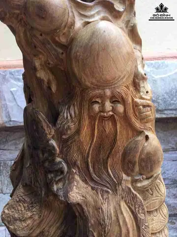 Gỗ Bách Xanh Sơn La
