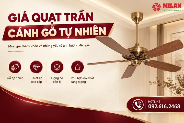 Gỗ Bên Giá Bao Nhiêu