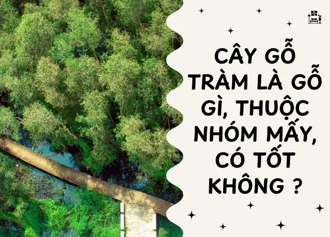 Gỗ Cây Trâm Thuộc Nhóm Mấy