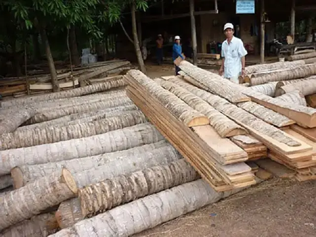 Gỗ Dừa Có Bền Không