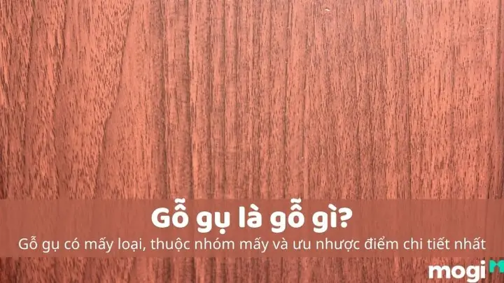 Gỗ Gụ Có Mấy Loại