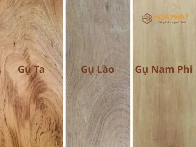 Gỗ Gụ Có Mấy Loại