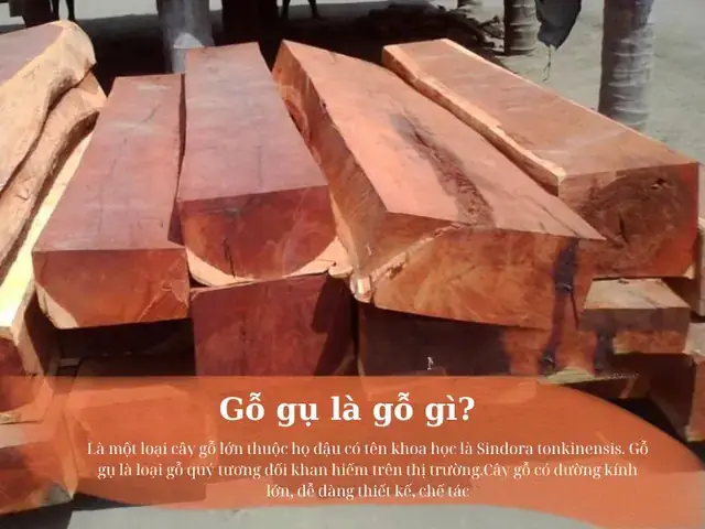 Gỗ Gụ Có Mấy Loại