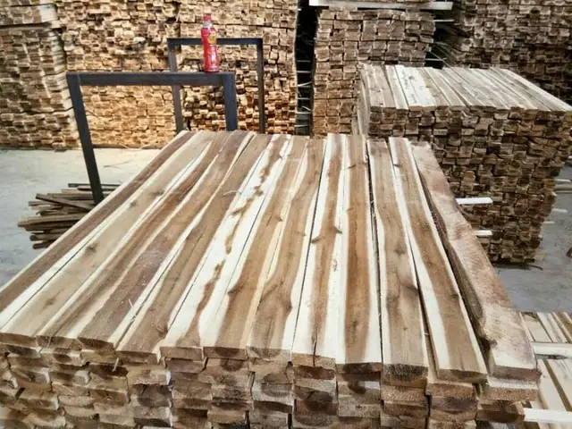 Gỗ Keo Có Mọt Không