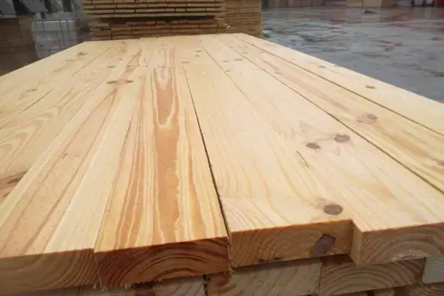 Gỗ Keo Có Mọt Không