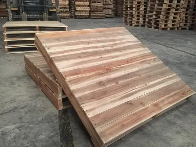 Gỗ Keo Có Mọt Không