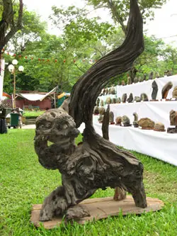 Gỗ Lũa Đẹp Nhất Việt Nam