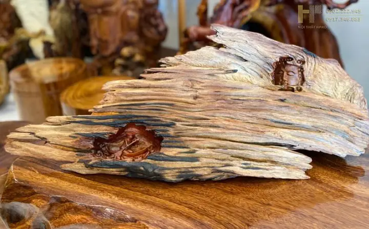 Gỗ Lũa Đẹp Nhất Việt Nam