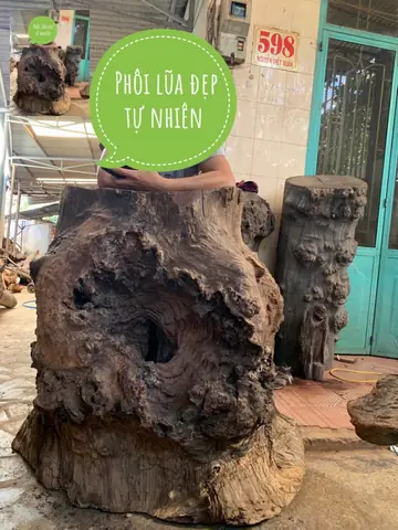 Gỗ Lũa Đẹp Nhất Việt Nam