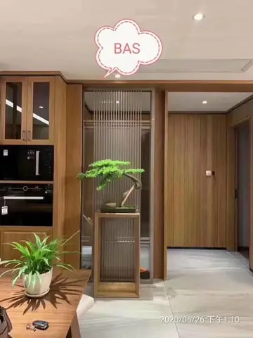 Gỗ Sao Đen Nam Mỹ