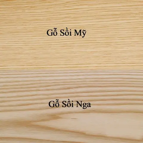 Gỗ Sồi Nga Và Gỗ Sồi Mỹ