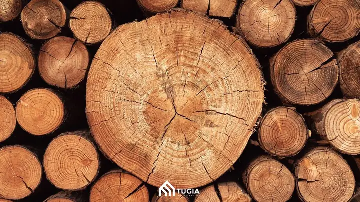 Gỗ Xá Xị Thuộc Nhóm Mấy