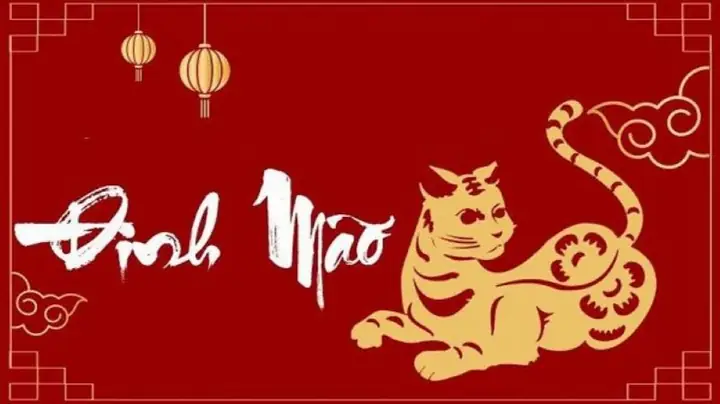 Hướng Đặt Két Sắt Tuổi Đinh Mão
