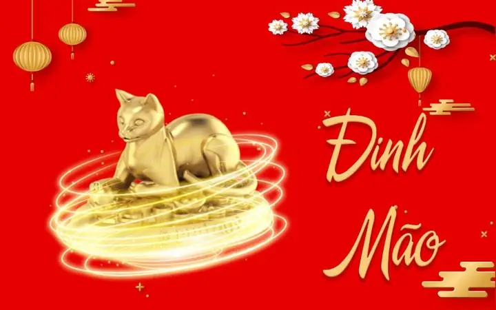 Hướng Đặt Két Sắt Tuổi Đinh Mão