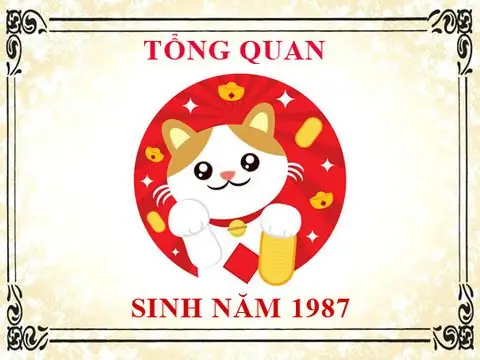 Hướng Đặt Két Sắt Tuổi Đinh Mão