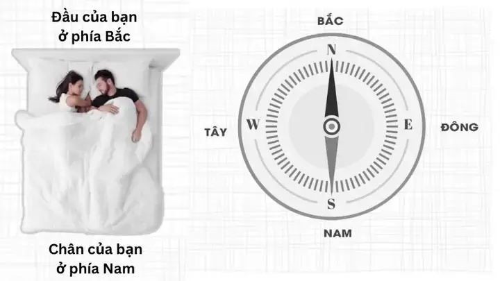 Hướng Nam Ngủ Theo Mệnh