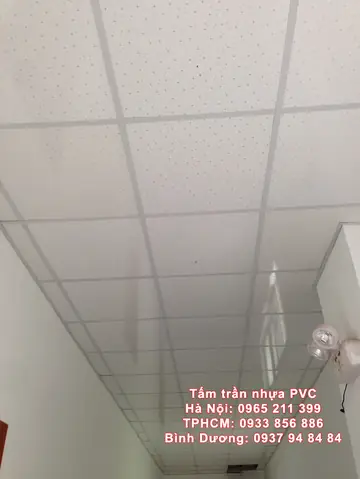 La Phông Nhựa 60x60 Gia Bao Nhieu